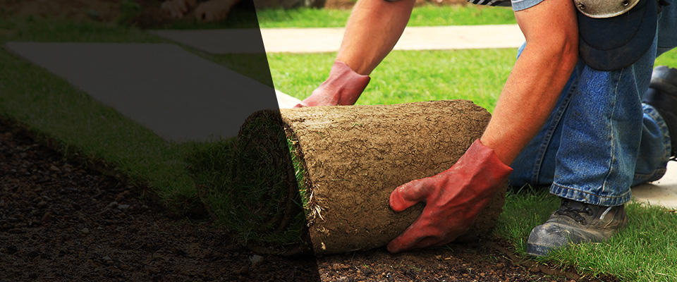 Wilmington Landscapers